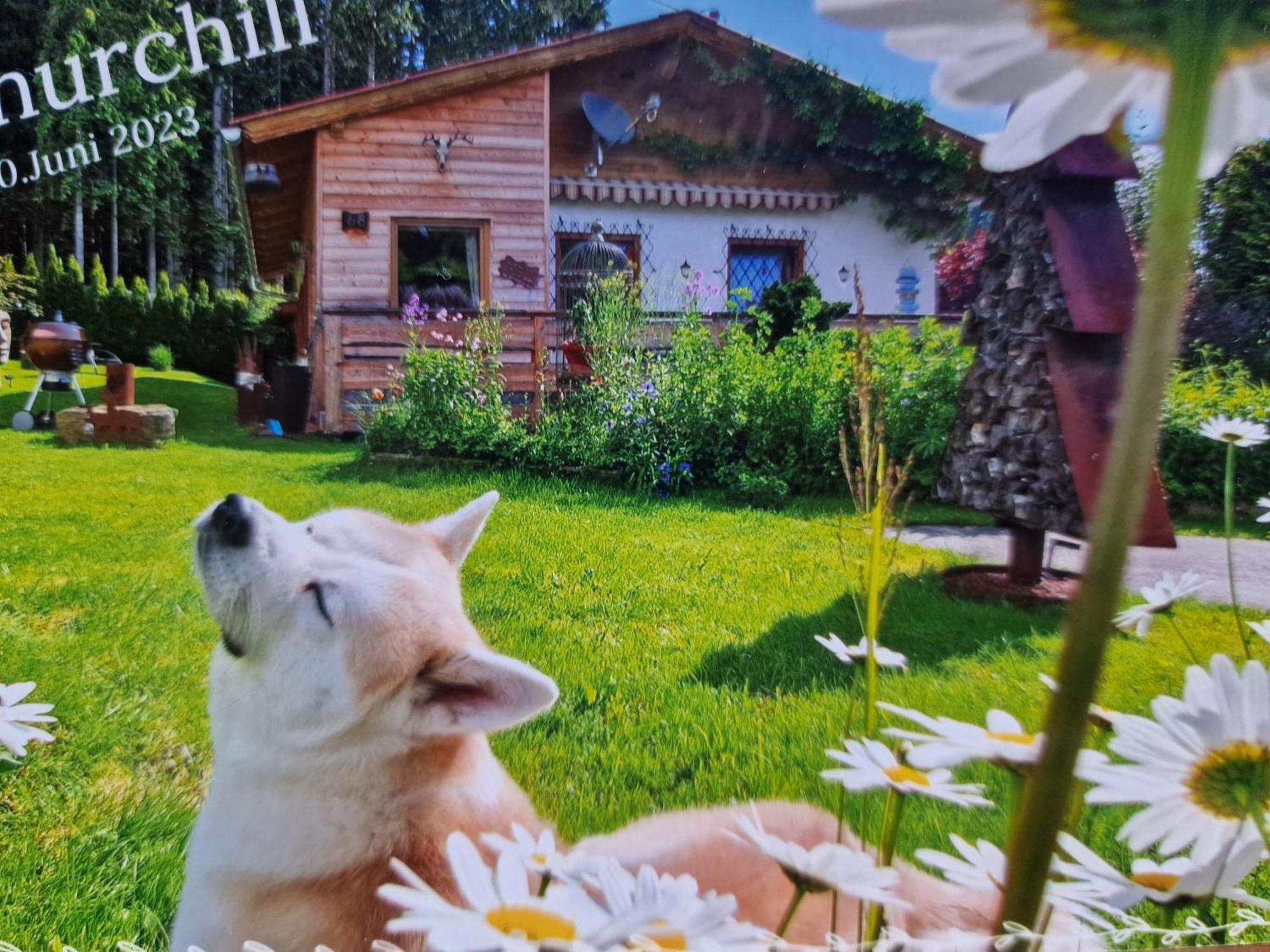 Villa Knusperhäuschen Maria Nikoletta Witra Exterior foto